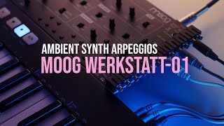 Moog Werkstatt01  Ambient Synthesizer Jam Arpeggio Madness [upl. by Aseram]