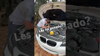 Se me cayó el dado 10mm 🫠 automobile 10mmsocket funny humor charlygotes bmw m5 s85 [upl. by Malcolm]