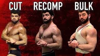 Should You Bulk Cut or Recomp The Complete No BS Guide [upl. by Akimaj954]