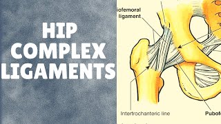 Ligaments of hip complex  With applied aspects [upl. by Kitarp]