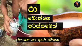 SRI LANKA TRADITIONAL LIQUEUR  kithul Raa  රා බොන්නේ පරිස්සමෙන් [upl. by Deonne]