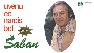 Saban Saulic  Zbog nje sam ostavio majku  Audio 1976 [upl. by Odrawde784]