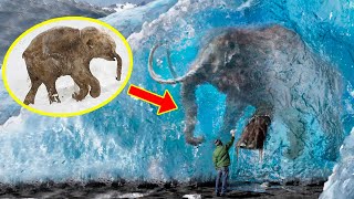 5 FROZEN MAMMOTHS You Wont Believe Were Found ❄️ [upl. by David]