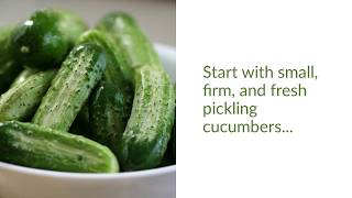 Fermenting Cucumbers Making Israeli Pickles [upl. by Yale]