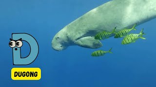 ABC Endangered Sea Animals Song for Kids  Fun Alphabet Learning  Phonics amp Conservation  abcd [upl. by Cod]