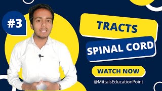 Tracts of the Spinal Cord  Ascending and Descending Tracts  Mittalquots Education Point [upl. by Alamac540]