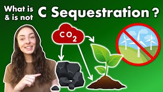 What is Carbon Sequestration Why is it Important amp How does it Work  GEO GIRL [upl. by Mallin]