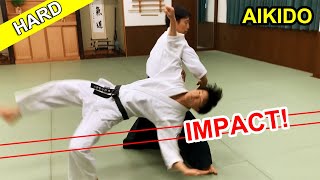 Impact Hard Aikido techniques [upl. by Favianus]