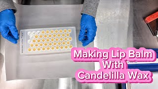 Making Lip Balm With Candelilla Wax [upl. by Ahsoik64]