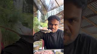 Local food in Manali  Jana falls in Manali  Lokesh Kumar [upl. by Pelson]