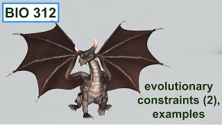 Evolutionary constraints 2 examples [upl. by Hescock]