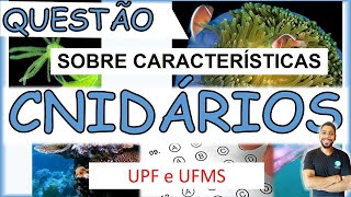 CNIDÁRIOS  UFMS e UPF  QUESTÃO SOBRE Características  Prof Michael Bryan [upl. by Enitsrik545]