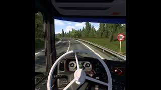 Driver Error  ETS 2 eurotrucksimulator2 [upl. by Ayadahs]