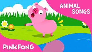 Did You Ever See My Tail  Animal Songs  PINKFONG Songs for Children [upl. by Parthena463]