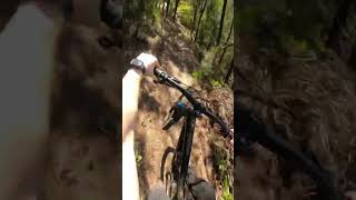 Eatons cutting redhill mtb dreadnought forbidden sram bikes [upl. by Ettelohcin]