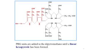 BIOSYNTHESIS OF HEME AND ITS RELATED DISORDERS [upl. by Lladnyk]