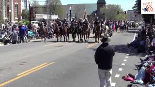 Mule Day Parade 2024 [upl. by Airb]