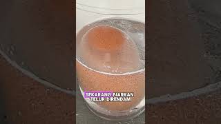 🎥 Eksperimen Seru Telur Ajaib 🥚 [upl. by Aneelehs233]