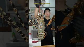 Lobster mutiara indonesia vs lobster canada [upl. by Nevet603]