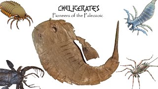 CHELICERATES Pioneers of the Paleozoic [upl. by Shaefer]