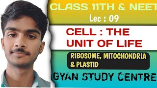 Structure of Ribosomes Mitochondria amp Plastids  Biology Lec 08  For 9th11th and entrance exam [upl. by Kegan40]