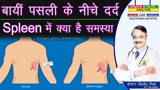 बायीं पसली के नीचे दर्द Spleen में क्या समस्या  ORGANS INSIDE ABDOMEN Part 3 [upl. by Matlick]