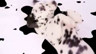 102 Dalmatians Official Teaser Trailer 2 [upl. by Shulins]