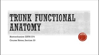 Trunk Functional Anatomy  Biomechanics [upl. by Aikyt299]