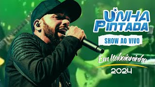 Show AO VIVO Unha Pintada [upl. by Ecirehc]