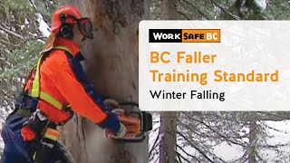 BC Faller Training Standard  Winter Falling 14 of 17 [upl. by Galen977]