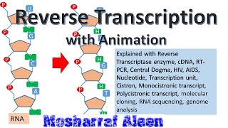 ‍রিভার্স ট্রান্সক্রিপশন কিভাবে RNA হতে DNA সৃষ্টি হয় [upl. by Brianna165]