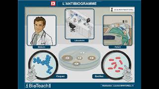 Tout savoir et comprendre sur lantibiogramme → Version longue ← [upl. by Gussie]