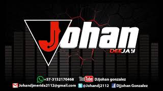 Justicia EXTENDED RMX Silvestre Dangond ft Natty Natasha DJ JOHAN [upl. by Joannes]