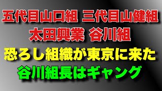 【五代目山口組三代目山健組太田興業谷川組】恐ろしい組織が東京にやって来た！太田興業谷川組長と柳川組二代目谷川組長！ [upl. by Onnem422]