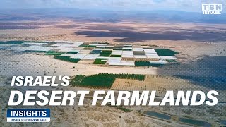 Transforming the Desert Part 1 Israels Produce Exportation  Insights Israel amp the Middle East [upl. by Parrie]