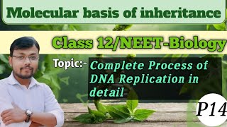 Molecular basis of inheritancePart 14DNA REPLICATION in detail class12 neet biologyscience [upl. by Kriss273]