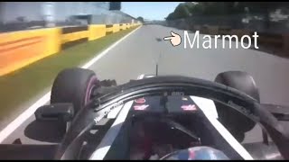 Crash of Romain Grosjean with a marmot before the last turn in FP2 [upl. by Enenaej]