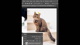 Chat qui miaule  Photoshop miauler shorts chat [upl. by Levana280]