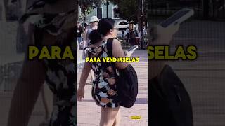 Exalcalde Valladolid roba tierras en Yucatán para vende a extranjeros viral shorts noticiasmexico [upl. by Nwahsauq]