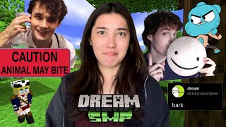 an unnecessarily long recap of dreamsmp drama [upl. by Nyrmac613]