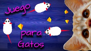 JUEGOS PARA GATOS  Atrapar ratones blancos en pantalla VIDEOS ENTRETENIMIENTOS DE GATOS Ver captura [upl. by Handel133]