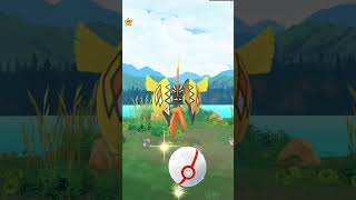 🥰 I CATCH TAPU KOKO 😄 pokemongo androidgaming [upl. by O'Doneven576]