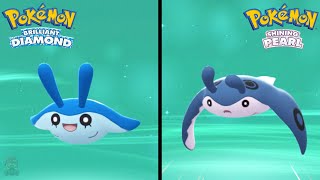 How to Find Mantyke amp Evolve Into Mantine in Pokemon Brilliant Diamond amp Shining Pearl [upl. by Ashbaugh125]