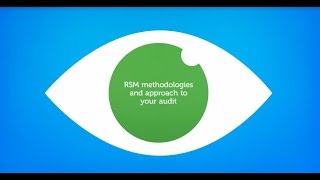 RSM Audit Methodology [upl. by Lalla]