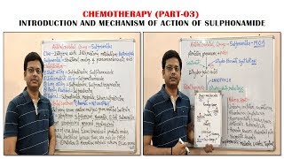 Chemotherapy of Antibiotics Part03 Sulfonamide Introduction amp Mechanism of Action  Antibiotic [upl. by Avron]