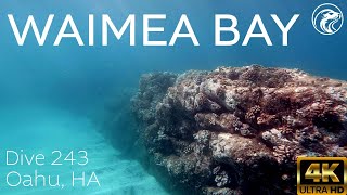 SCUBA How To Dive Waimea Bay  North Shore Oahu 2024  4k [upl. by Mackintosh]