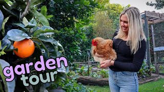 Inspiring Backyard Selfsufficient Garden Tour in Northland New Zealand  Edible Garden Tour [upl. by Asirb]