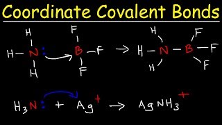 What is a Coordinate Covalent Bond [upl. by Ennoitna]