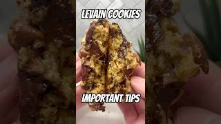 Levain Bakery Cookie Recipe [upl. by Robi335]