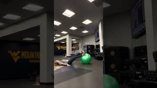 Stability Ball Single Leg Hamstring Curl [upl. by Gnel20]